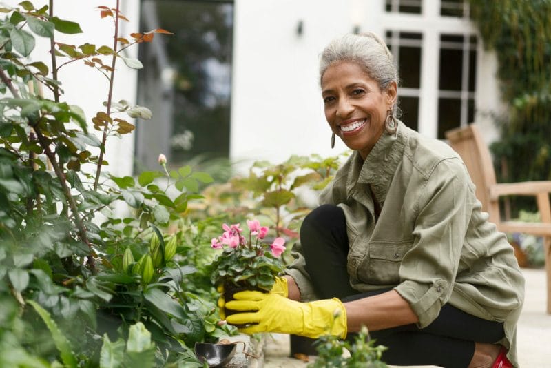 Happy retired female gardening in back yard. Smiling senior woman is crouching by plants. She is in casuals.